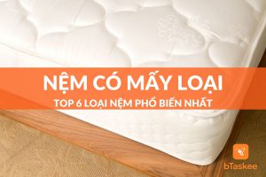 nệm có mấy loại