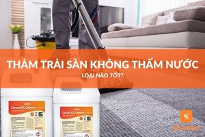 hóa chất giặt thảm trải sàn
