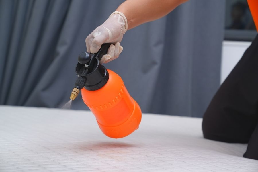 Xịt dung dịch vệ sinh đã được pha với tỷ lệ phù hợp.